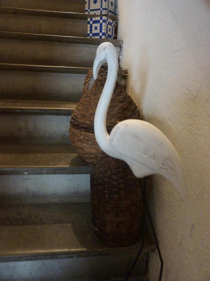 La Maison Narbonnaise Narbonne Dış mekan fotoğraf