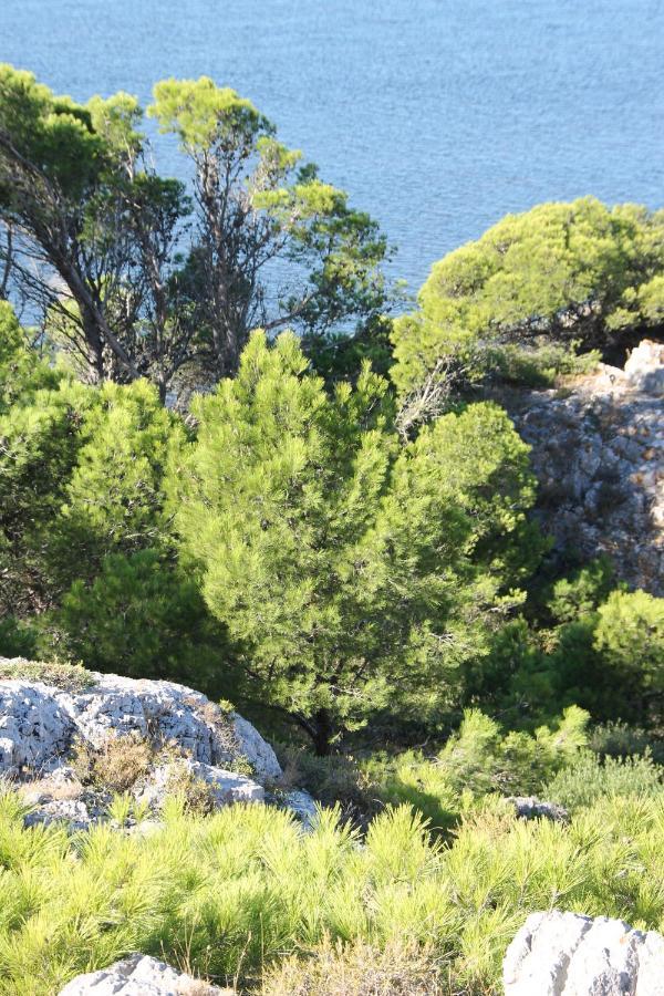 La Maison Narbonnaise Narbonne Dış mekan fotoğraf
